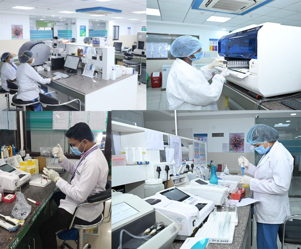 Eco-Tourism: Traveling Responsibly and Sustainably