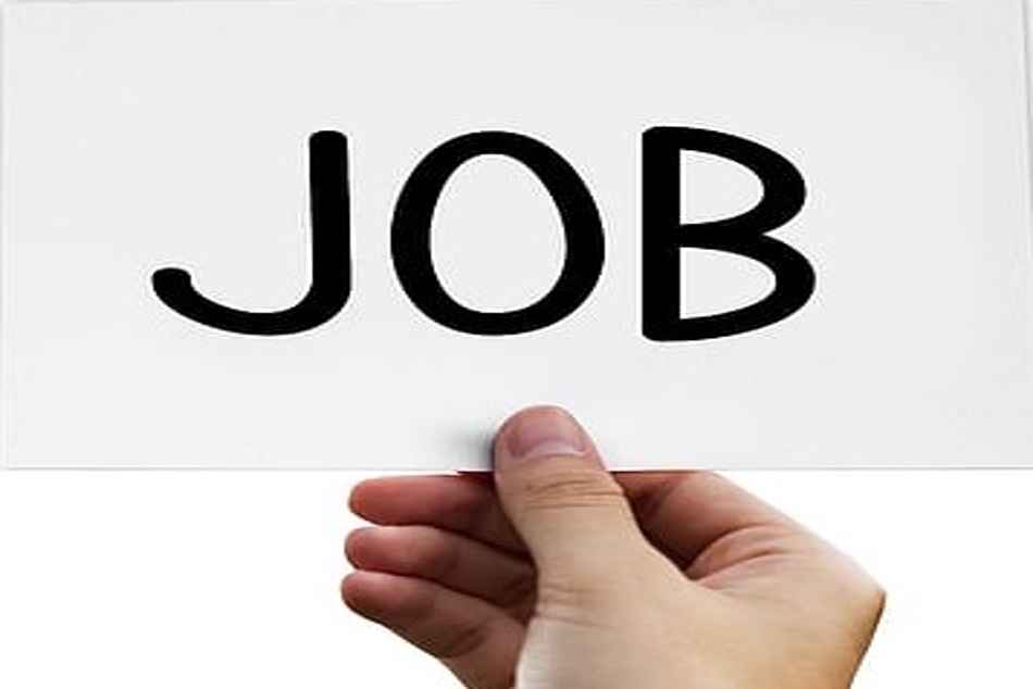 job.jpg